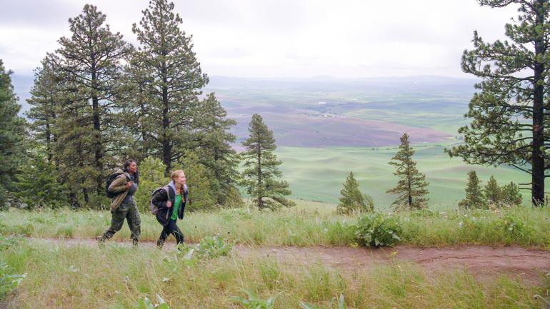 登上爱达荷州莫斯科附近的 Kamiak Butte 顶峰 登上爱达荷州莫斯科附近的 Kamiak Butte 顶峰