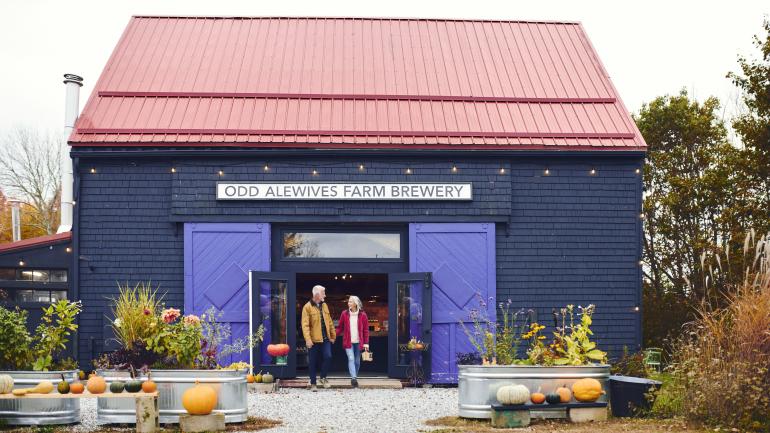 缅因州沃尔多伯勒的 Odd Alewives Farm Brewery 酿酒厂的精酿啤酒与当地美食相得益彰 缅因州沃尔多伯勒的 Odd Alewives Farm Brewery 酿酒厂的精酿啤酒与当地美食相得益彰