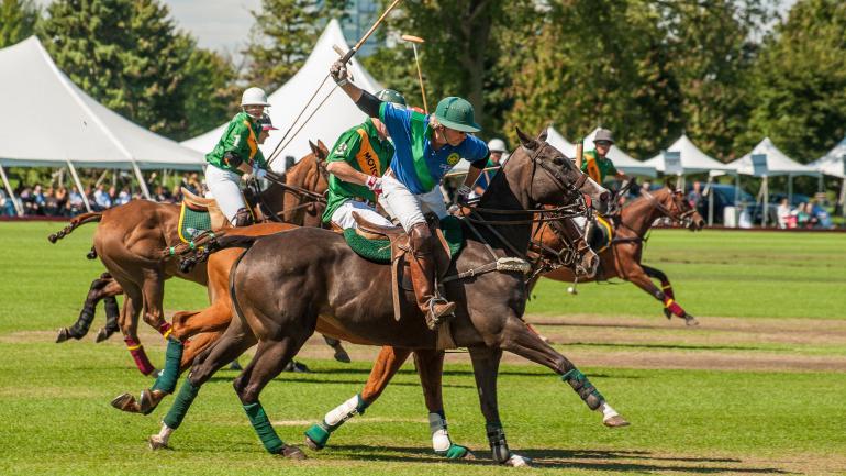 在 Oak Brook Polo Club 俱乐部享受一场激动人心的比赛 在 Oak Brook Polo Club 俱乐部享受一场激动人心的比赛