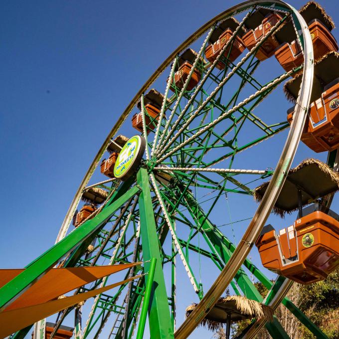 加利福尼亚州橙县圣安娜动物园的 Fifty Monkey Ferris Wheel 摩天轮 加利福尼亚州橙县圣安娜动物园的 Fifty Monkey Ferris Wheel 摩天轮