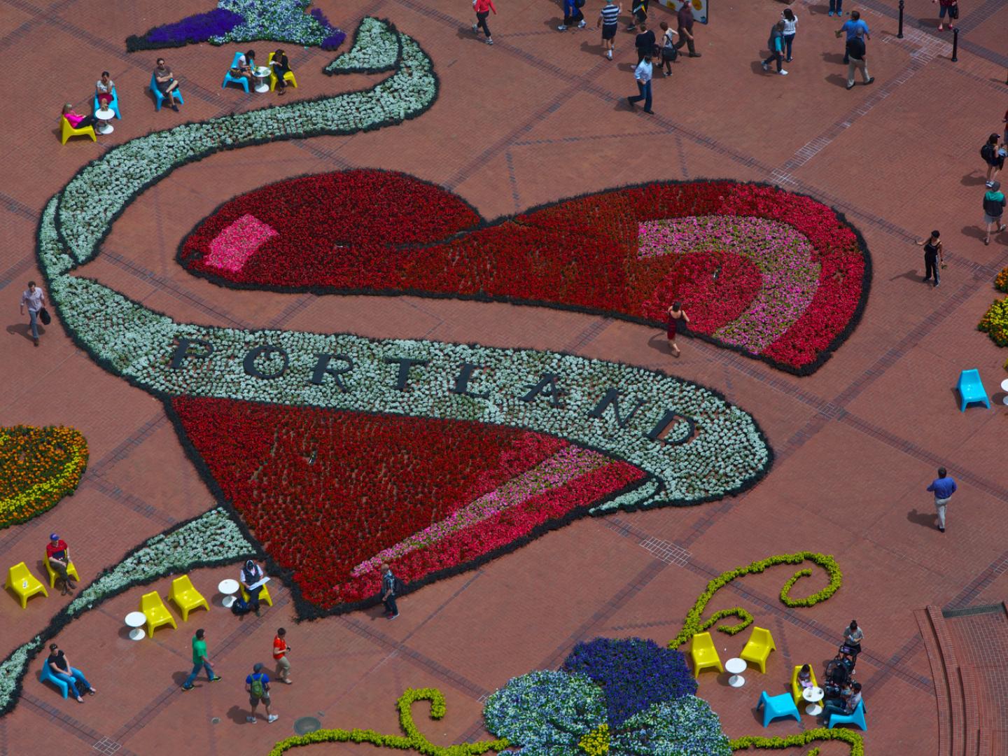 波特兰玫瑰节上用玫瑰花制作的设计作品 波特兰玫瑰节上用玫瑰花制作的设计作品