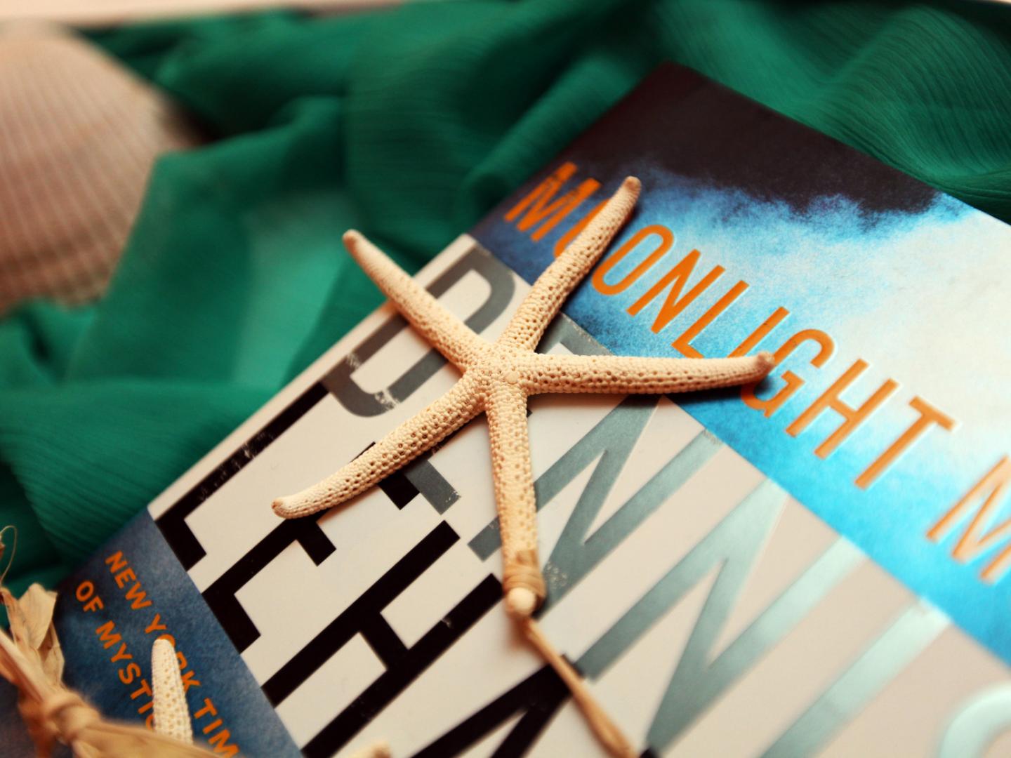 佛罗里达州阿米莉亚岛的贝壳和图书