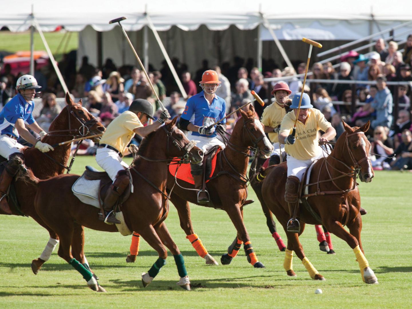 观看一场亚利桑那州 Bentley Scottsdale Polo Championship 马球赛的比赛