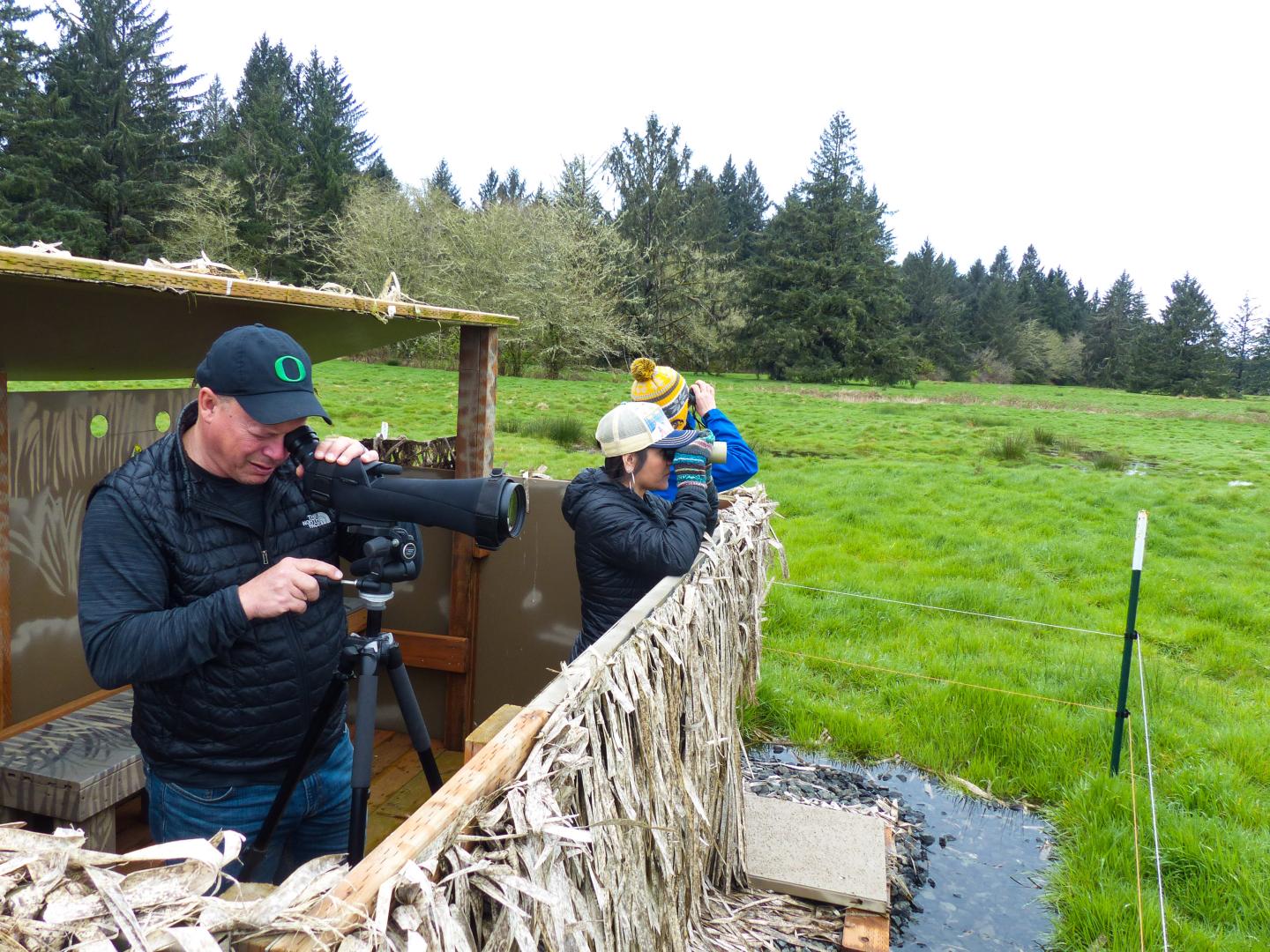 在 Wings Over Willapa 观鸟节期间到威拉帕国家野生动物保护区 (Willapa National Wildlife Refuge) 观鸟 在 Wings Over Willapa 观鸟节期间到威拉帕国家野生动物保护区 (Willapa National Wildlife Refuge) 观鸟