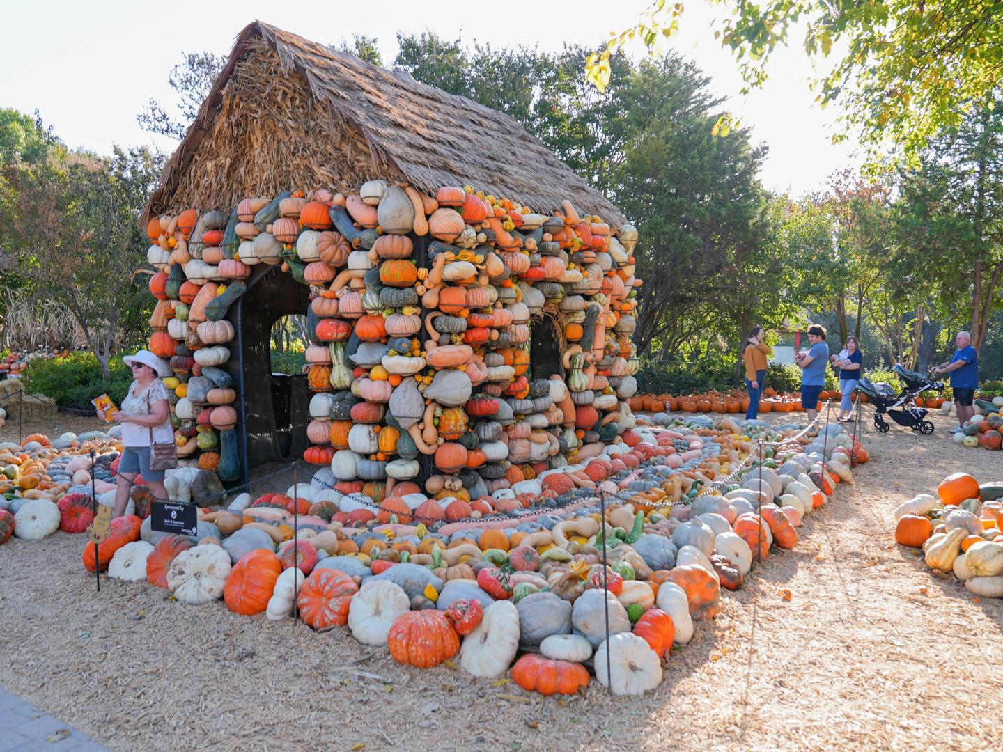 德克萨斯州达拉斯，达拉斯植物园