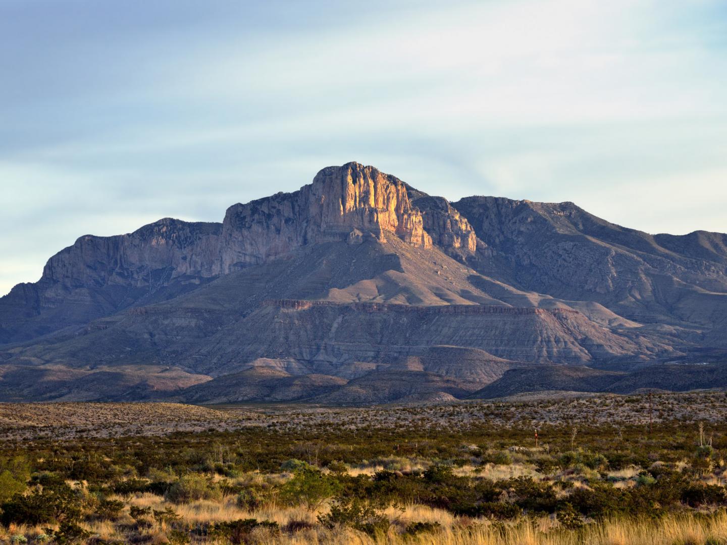瓜达卢佩山国家公园