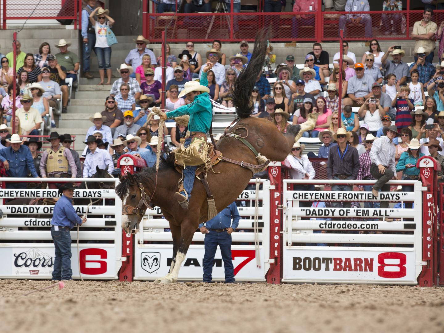 怀俄明州夏安边疆节牛仔竞技赛上的专业骑手