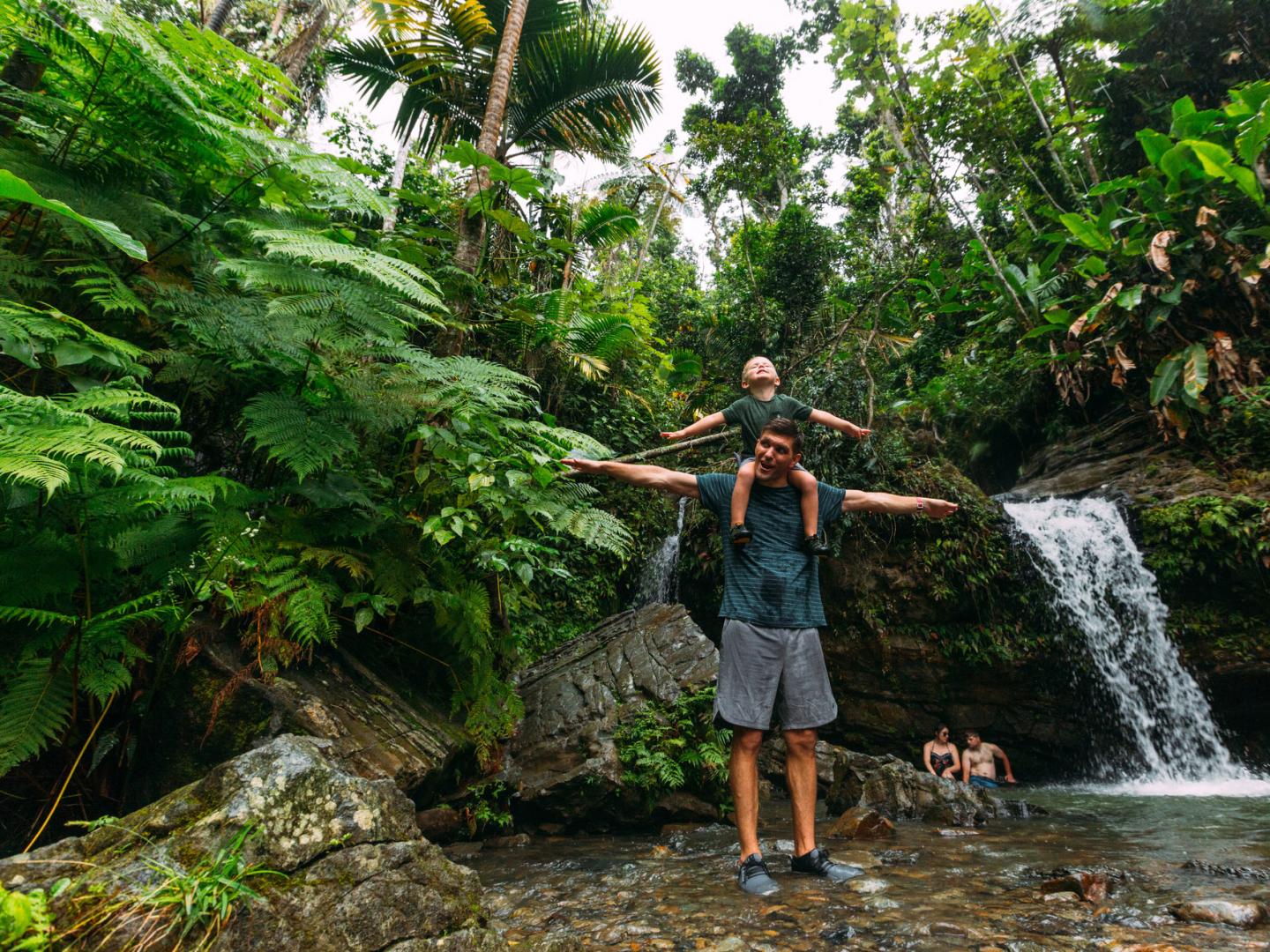 游览波多黎各云盖国家森林的瀑布