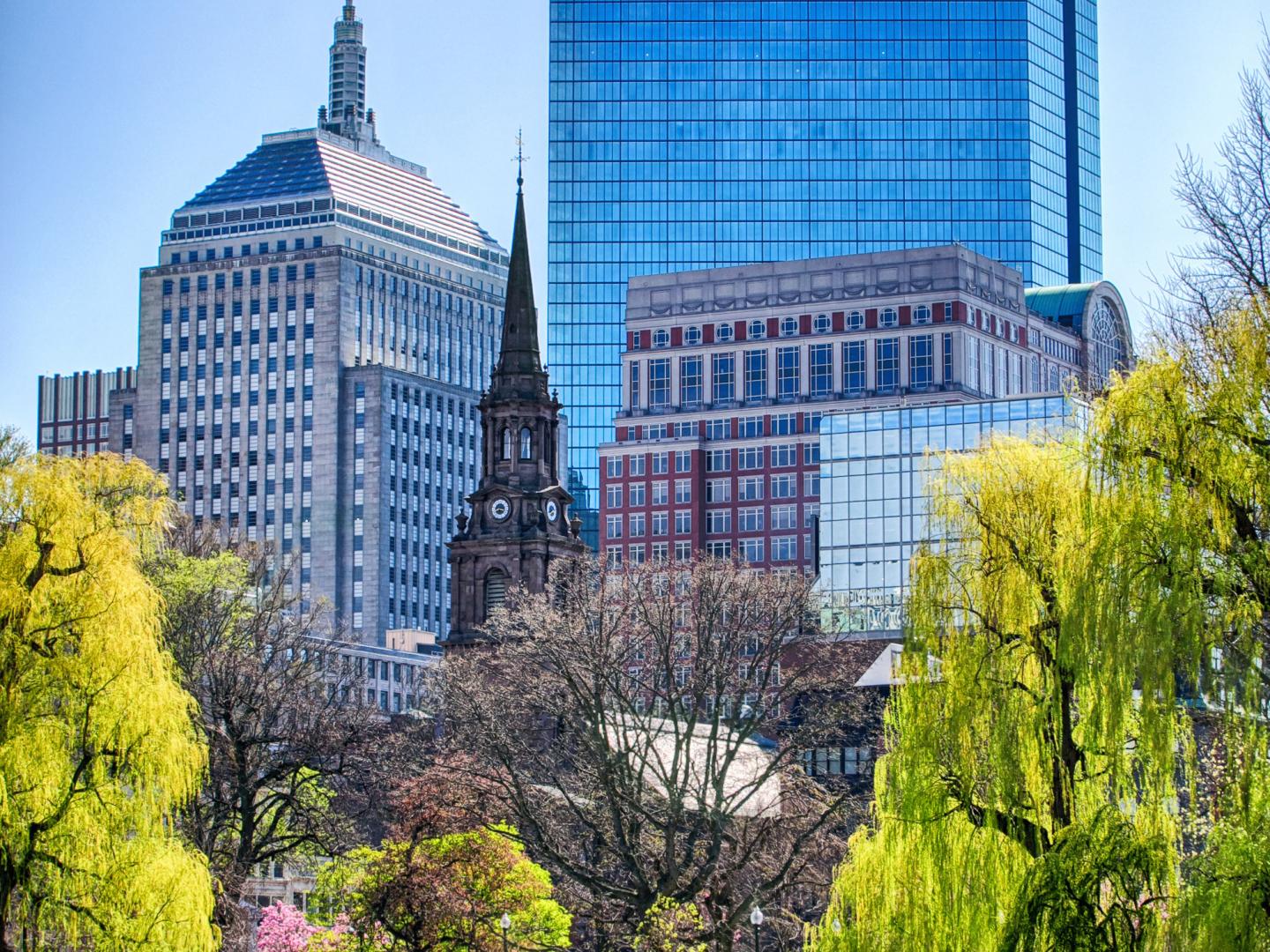 马萨诸塞州波士顿公共花园