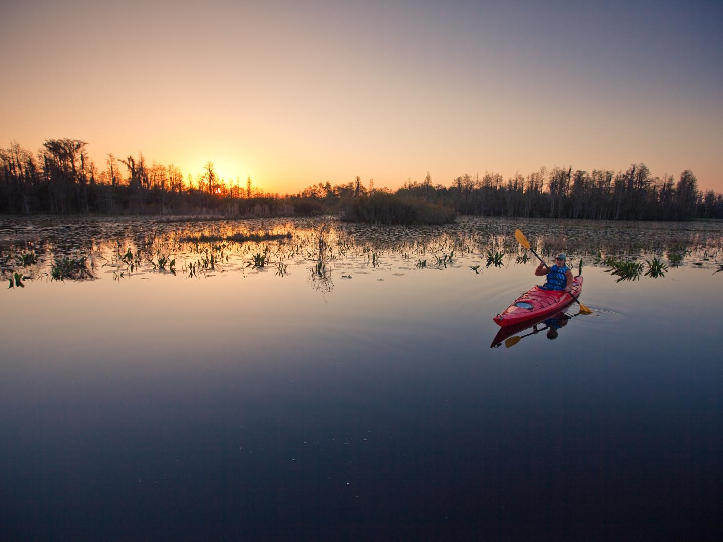 在佐治亚州南部的奥克弗诺基沼泽划皮艇
