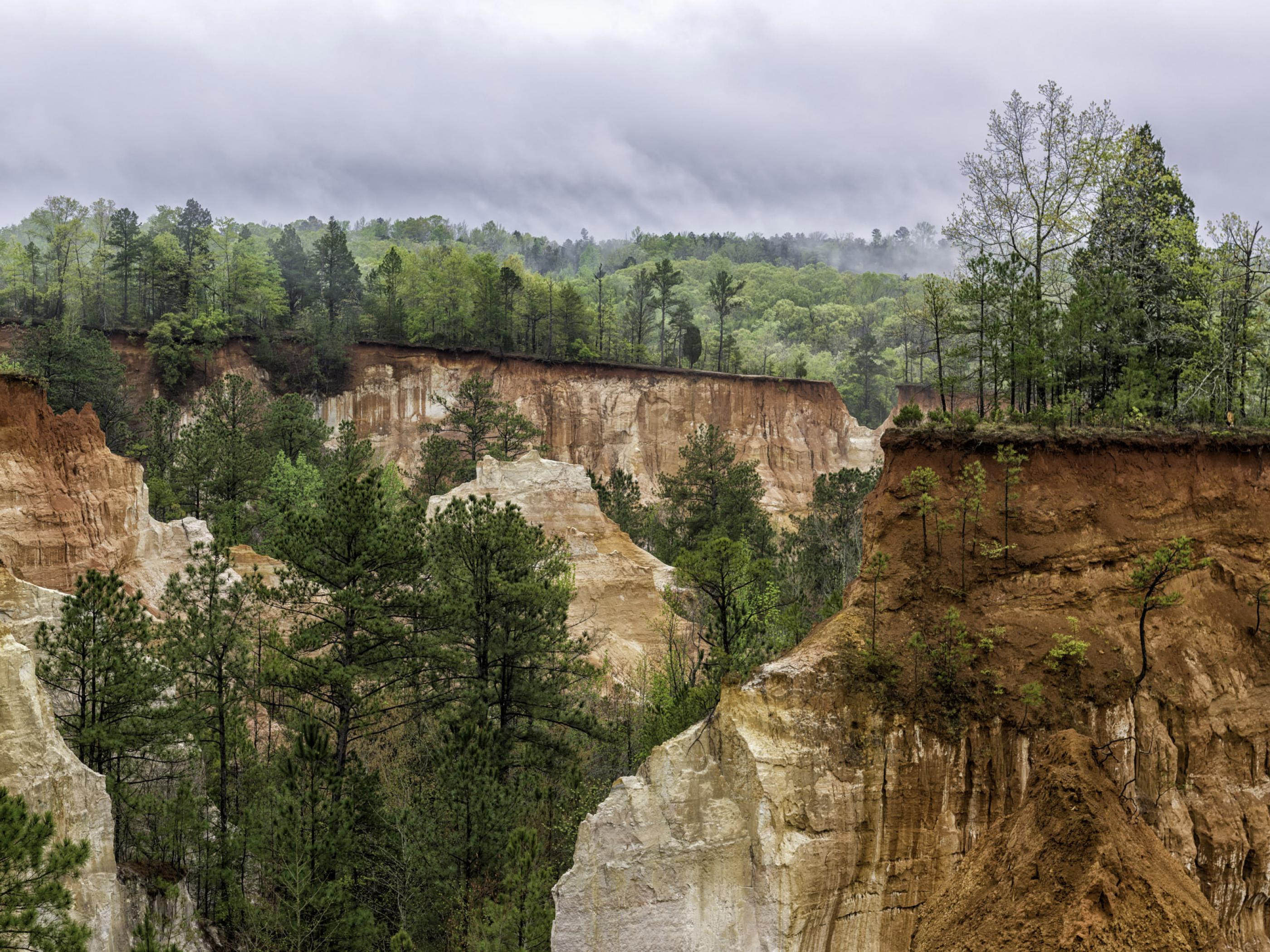 Hiking in Providence Canyon, Georgia Hiking in Providence Canyon, Georgia
