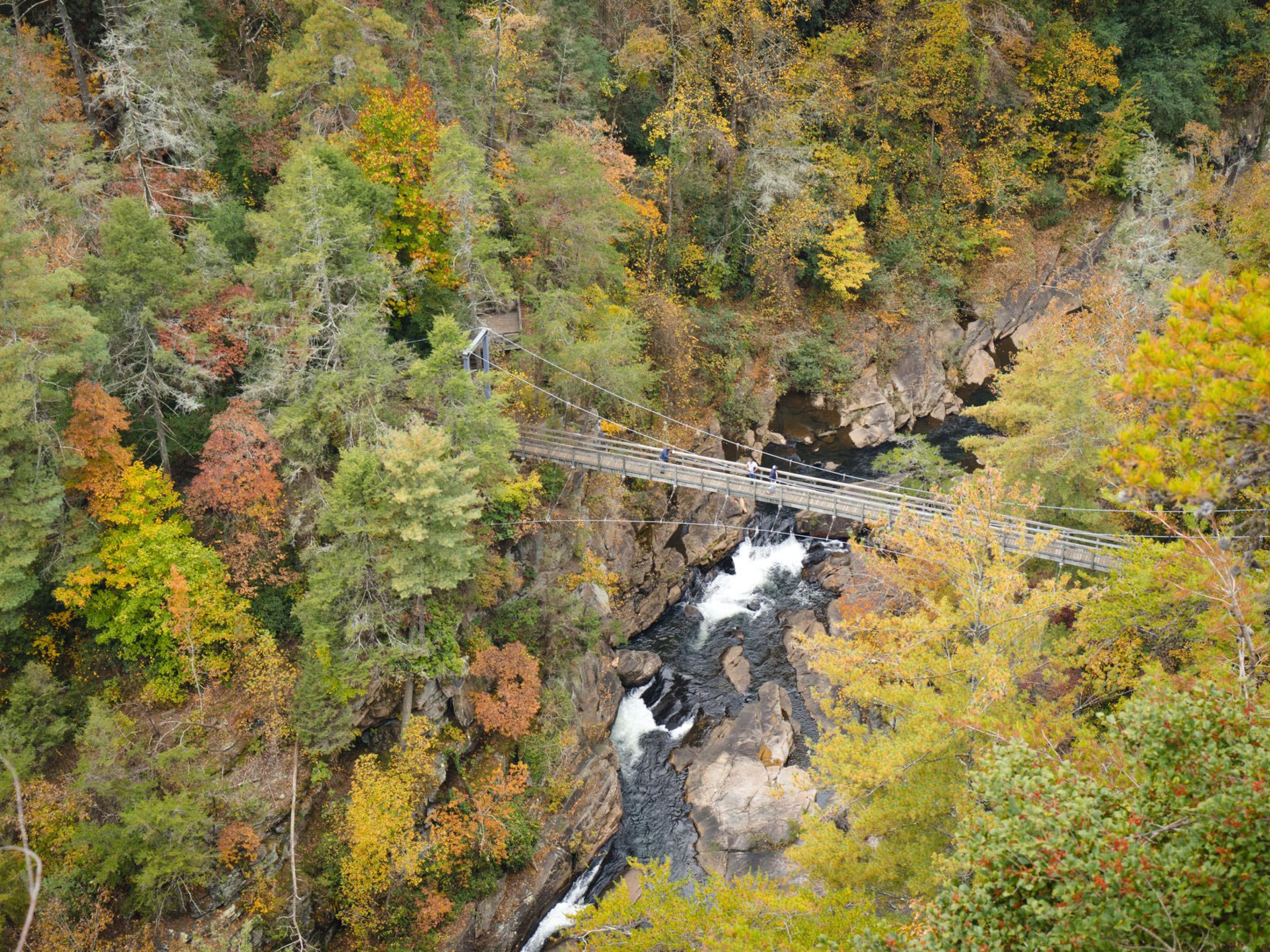 Overlooking Tallulah Falls in Tallulah Gorge, Georgia Overlooking Tallulah Falls in Tallulah Gorge, Georgia