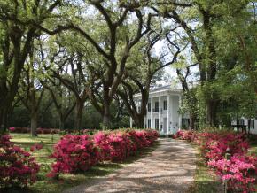 古老的莫比尔布拉格-米切尔之屋 古老的莫比尔布拉格-米切尔之屋