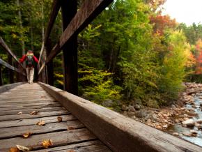 白山山脉落叶中的廊桥