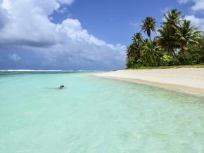 潜水员拍摄水下风景