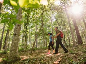 在霍布斯州立公园保护区 (Hobbs State Park-Conservation Area) 远足