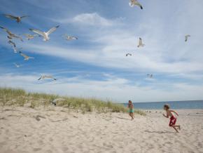 Children playing on a beach in The Hamptons Children playing on a beach in The Hamptons