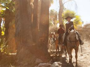 骑上马背穿越风景秀丽的印度峡谷,沿途欣赏淙淙溪流和原生棕榈树林 骑上马背穿越风景秀丽的印度峡谷,沿途欣赏淙淙溪流和原生棕榈树林