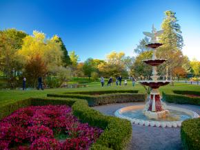 探索萨拉托加 探索萨拉托加