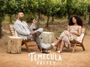 South Coast Winery Resort & Spa 度假村及水疗中心，在葡萄园里举行的红酒晚宴