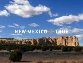 New Mexico True 官方徽标