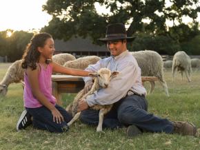在德克萨斯州格雷普韦恩历史悠久的 Nash Farm 农场与农场动物亲密接触 在德克萨斯州格雷普韦恩历史悠久的 Nash Farm 农场与农场动物亲密接触