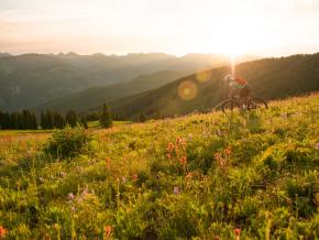 在野花烂漫的山间小径骑行 在野花烂漫的山间小径骑行