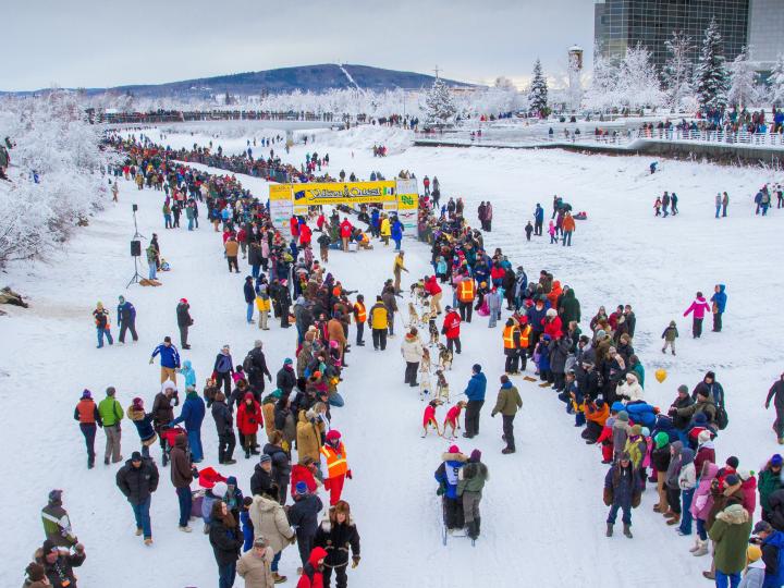 育空探索国际雪橇犬比赛现场熙熙攘攘的人群 育空探索国际雪橇犬比赛现场熙熙攘攘的人群