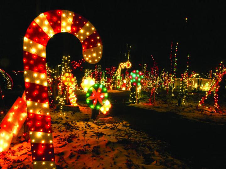 节庆装饰点亮了宾夕法尼亚州约克县附近的科多鲁斯州立公园 (Codorus State Park)