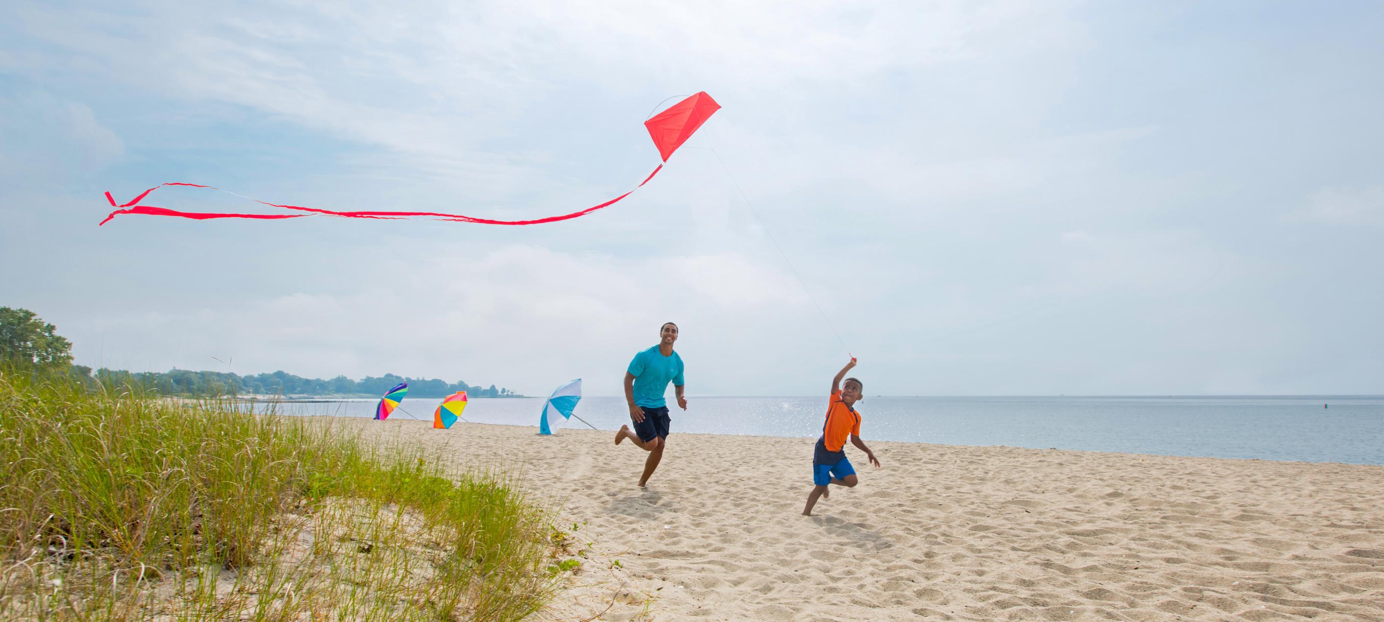 在康涅狄格州韦斯特波特舍伍德岛州立公园放风筝