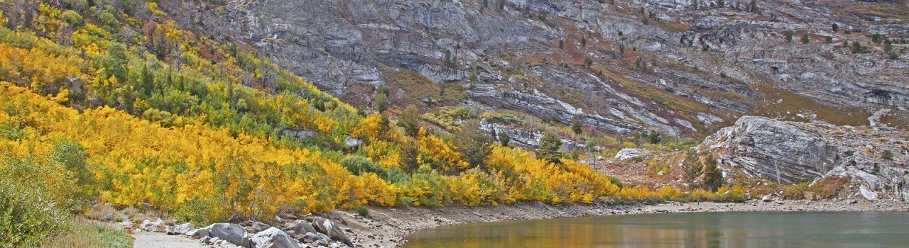 金色树木照亮天使湖