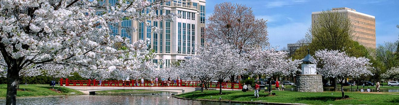 阿拉巴马州亨茨维尔的大泉公园