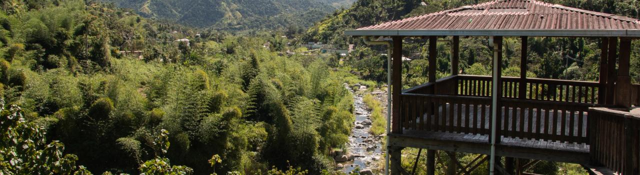 波多黎各哈尤亚的山景和森林景致 波多黎各哈尤亚的山景和森林景致