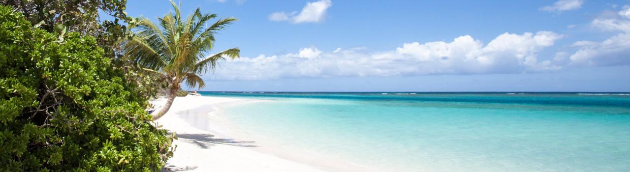 波多黎各库莱布拉岛上美丽的弗拉门戈海滩