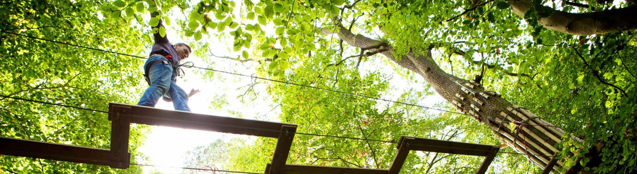 在密苏里州马里兰高地的 Go Ape 空中飞索和探险公园参加树顶障碍赛 在密苏里州马里兰高地的 Go Ape 空中飞索和探险公园参加树顶障碍赛