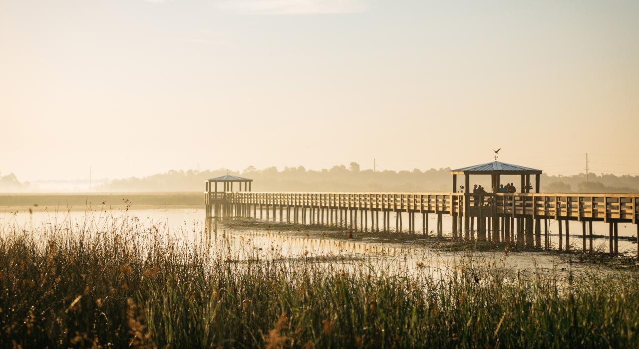 在德克萨斯州博蒙特的 Cattail Marsh Scenic Wetlands & Boardwalk 上观鸟 在德克萨斯州博蒙特的 Cattail Marsh Scenic Wetlands & Boardwalk 上观鸟