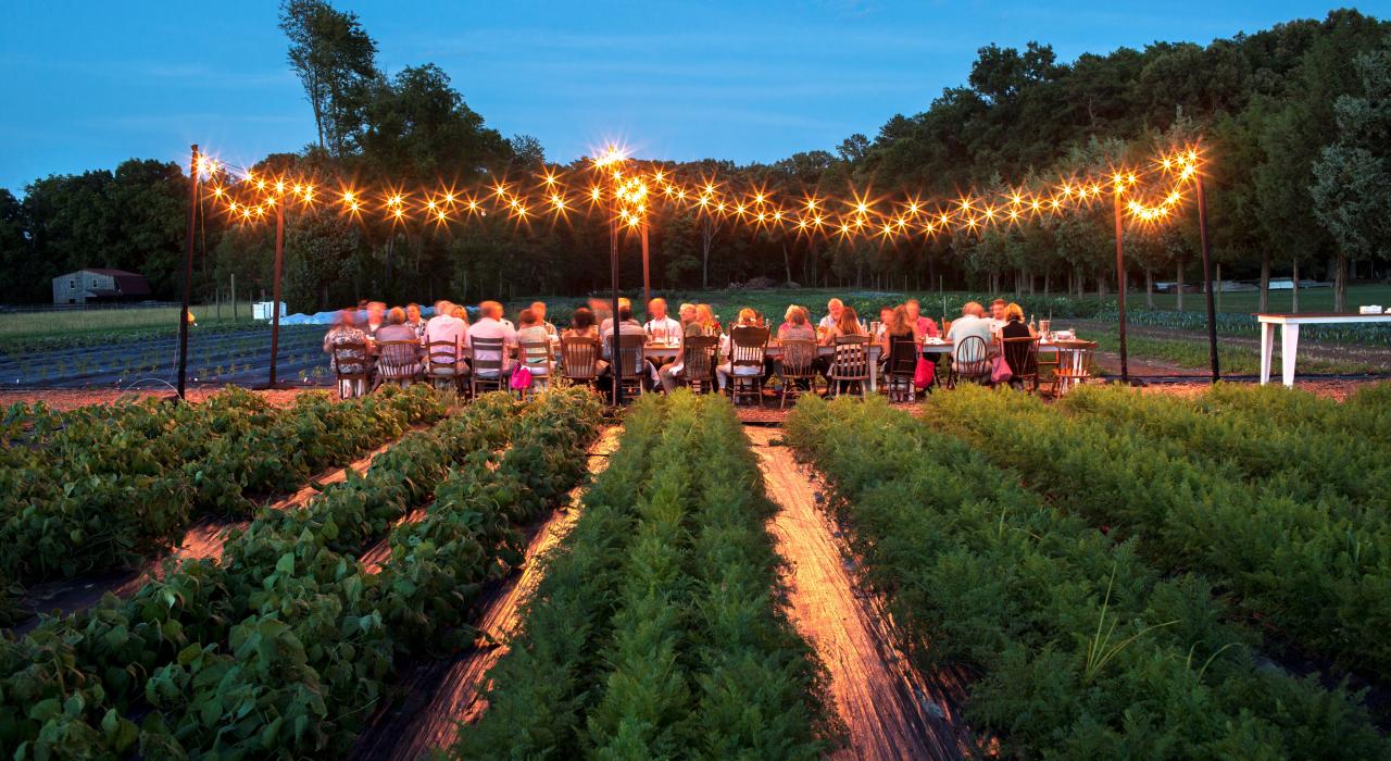 弗吉尼亚州里士满 Victory Farms 农场的户外美食