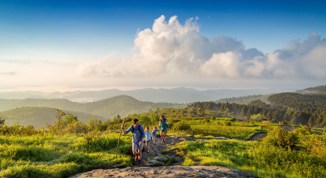 前往皮斯加国家森林的 Black Balsam Knob 山徒步旅行 前往皮斯加国家森林的 Black Balsam Knob 山徒步旅行