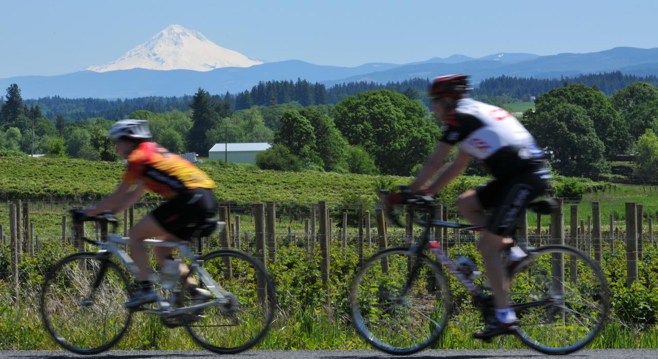 角逐 Pioneer Century 自行车赛的选手