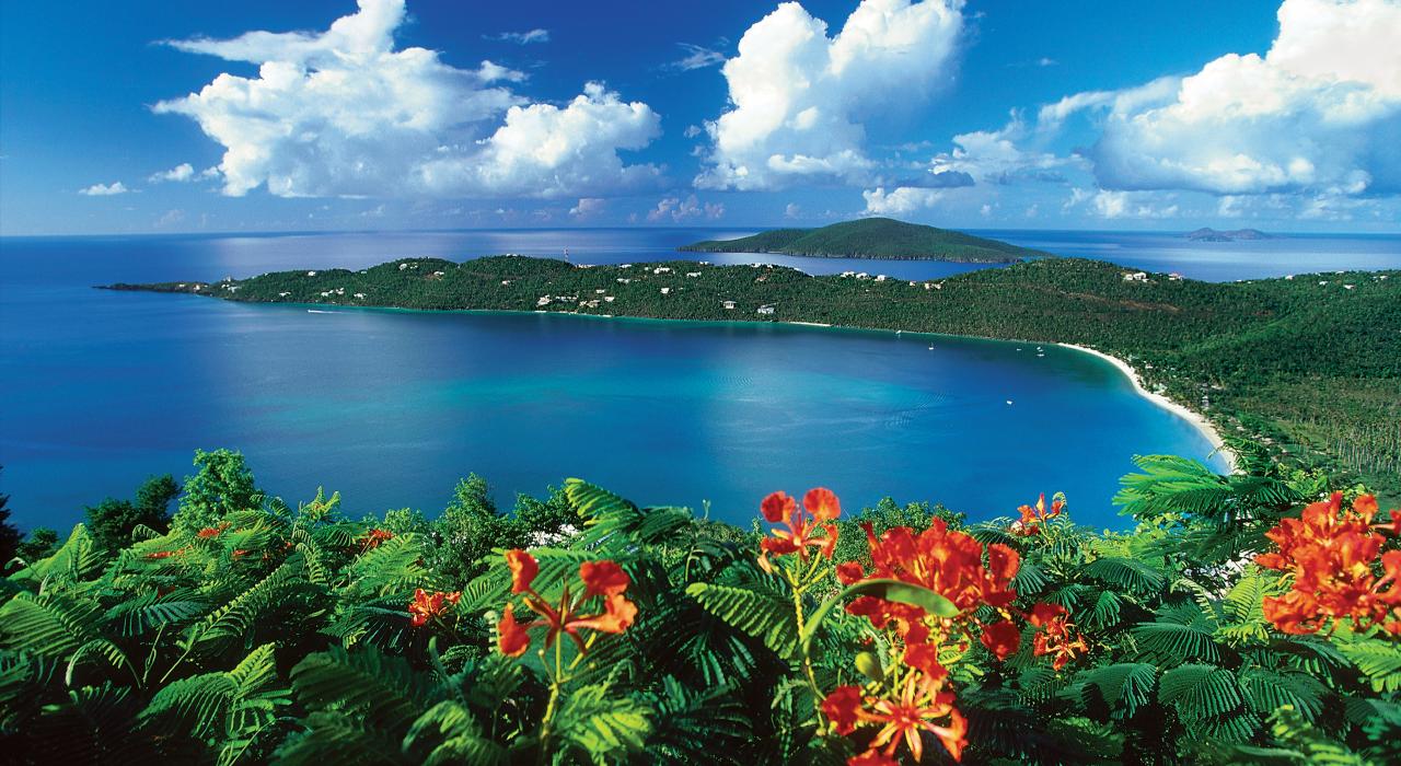 热带花卉妆点下的梅根湾美景 热带花卉妆点下的梅根湾美景