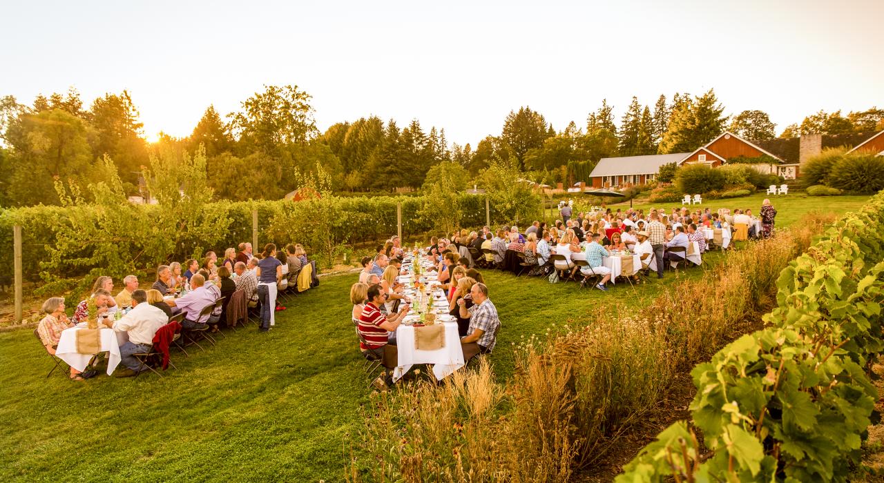 泰比拉酒庄的葡萄田间晚宴