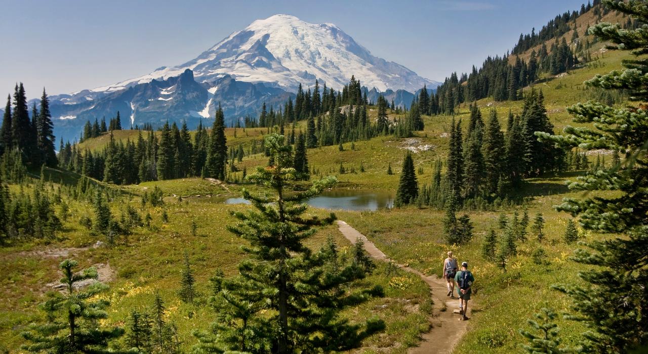 华盛顿州瑞尼尔山阴凉一侧的小径上进行徒步旅行的徒步爱好者