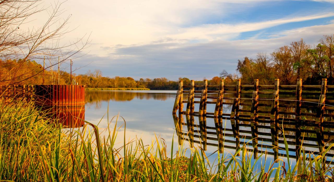 Calm waters of the Savannah River, a natural border of the city
