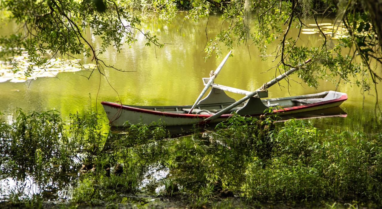 路易斯安那州拉斐特弗米利恩河口区的船只