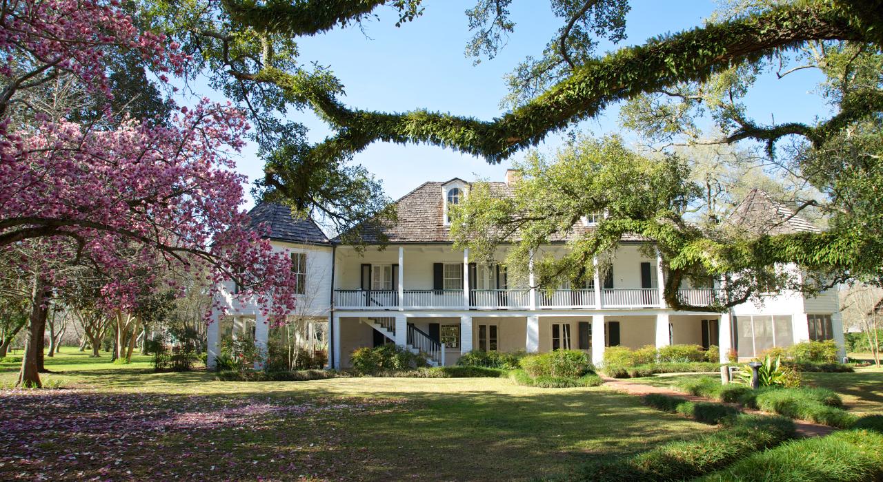 路易斯安那州纳契托什教区梅尔罗斯种植园的前景