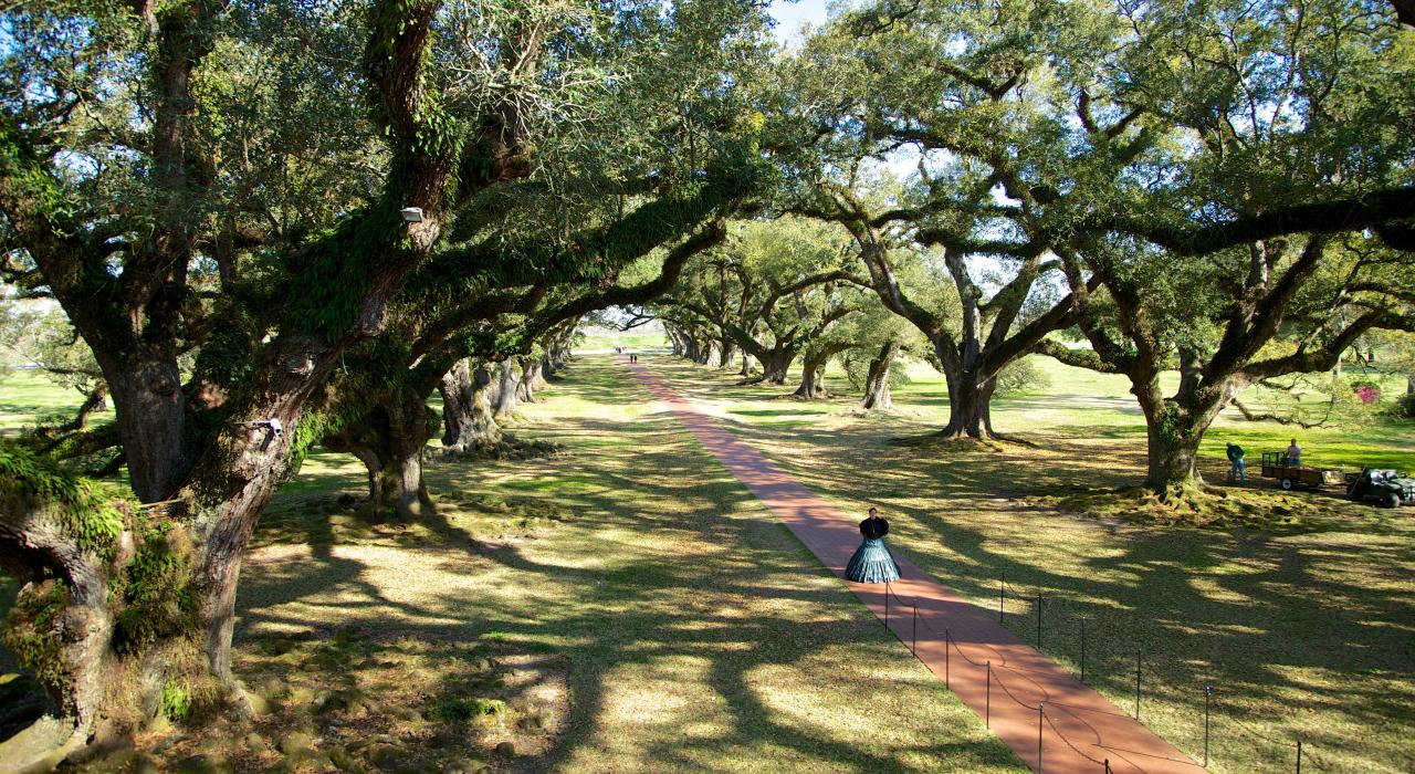 The path leading to Oak Alley Plantation in Louisiana