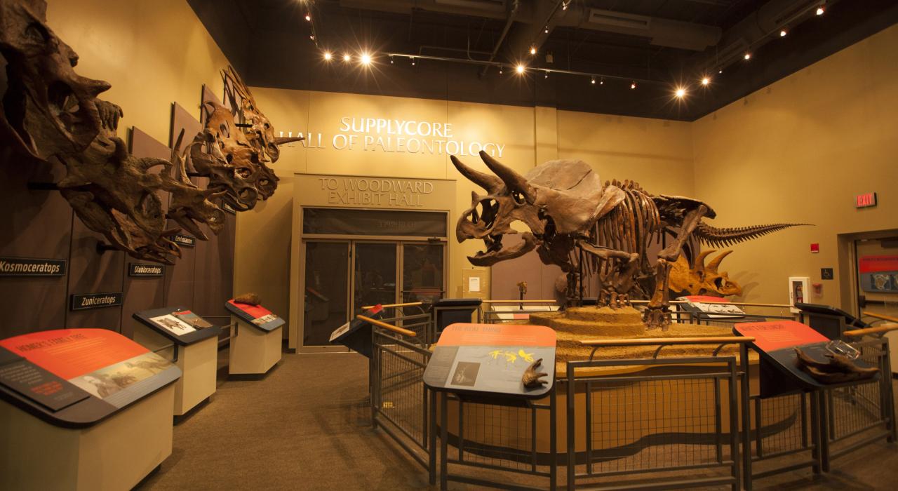 伊利诺伊州罗克福德伯比自然历史博物馆的恐龙展