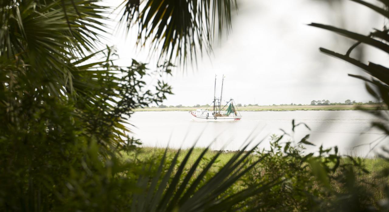 在黄金群岛之间穿行的船只