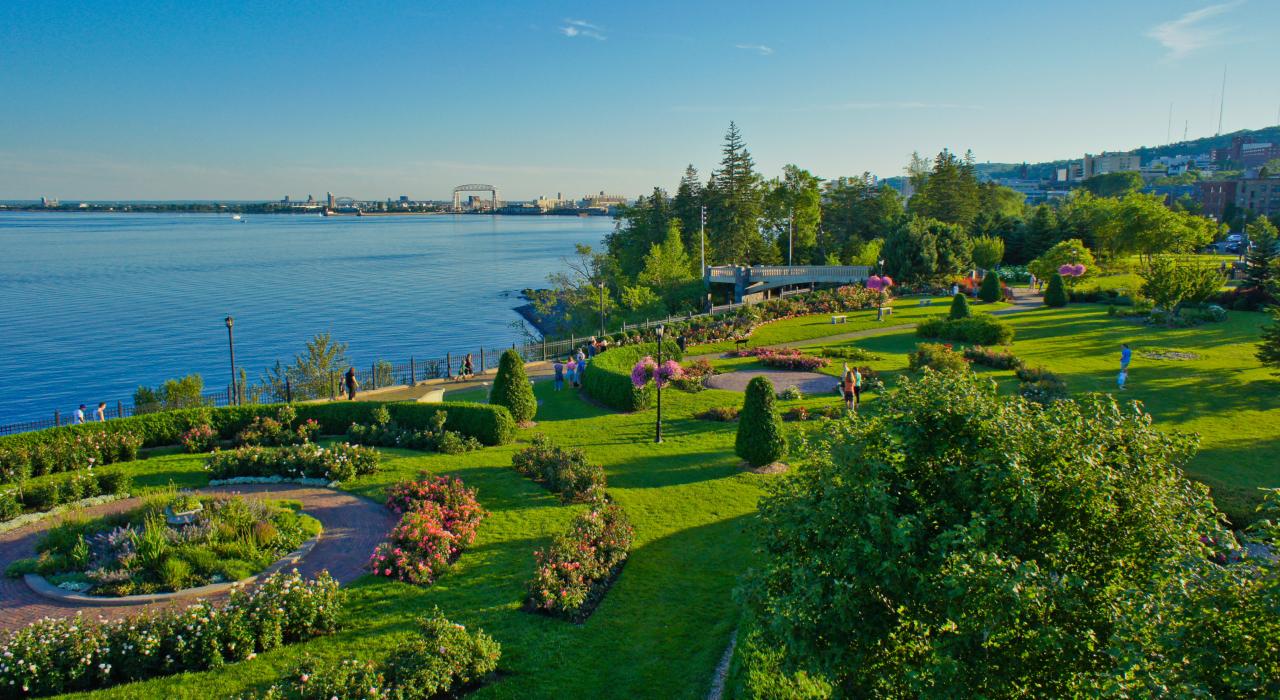 A clear day in the rose garden at Leif Erikson Park A clear day in the rose garden at Leif Erikson Park
