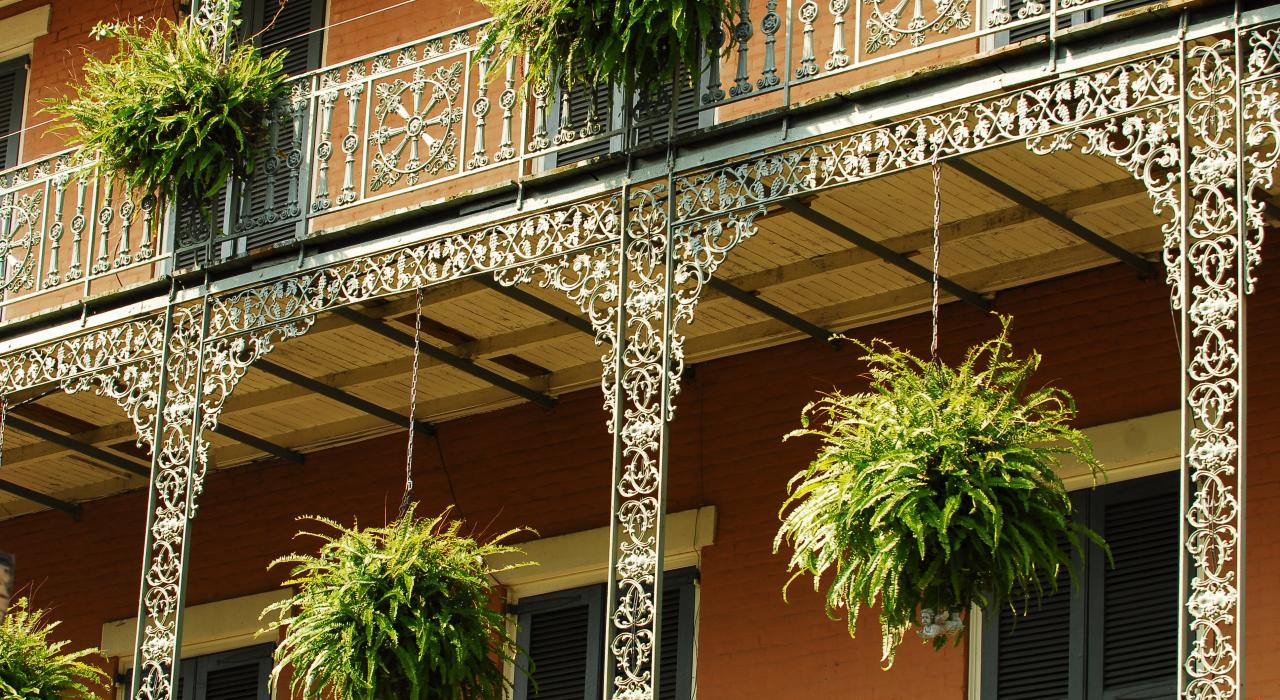 路易斯安那州新奥尔良法国区阳台上的蕨类吊篮